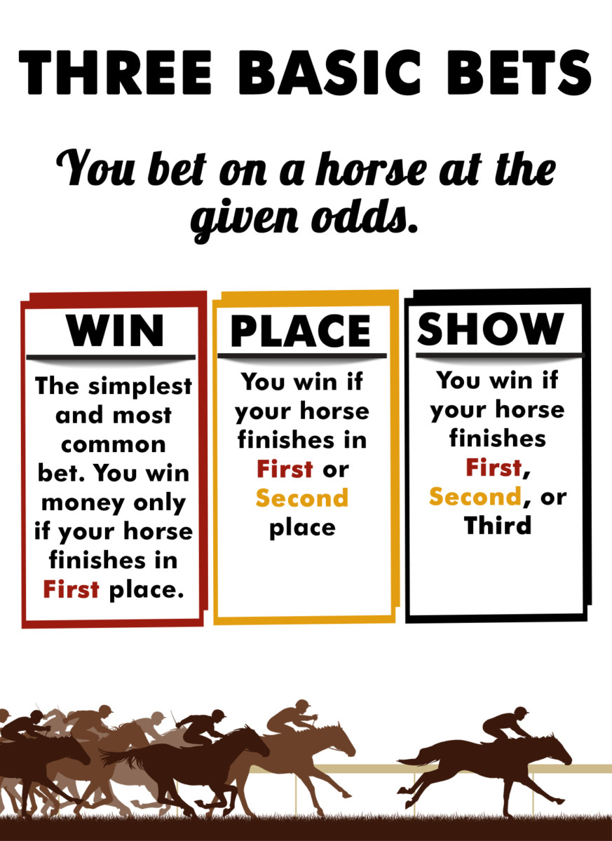 A Guide To Understanding Horse Racing Odds HorseRacingQA