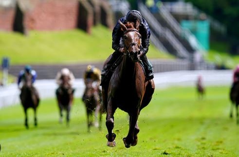 Which is the only horse to have won the Cesarewitch Handicap twice?  