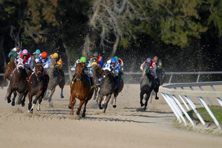 Travers Stakes 2024 Entries Randy Norina