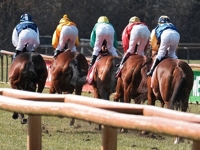 How many horses have won the Bunbury Cup more than once?  